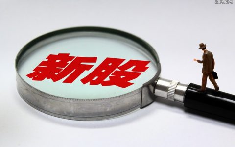 众兴菌业股票